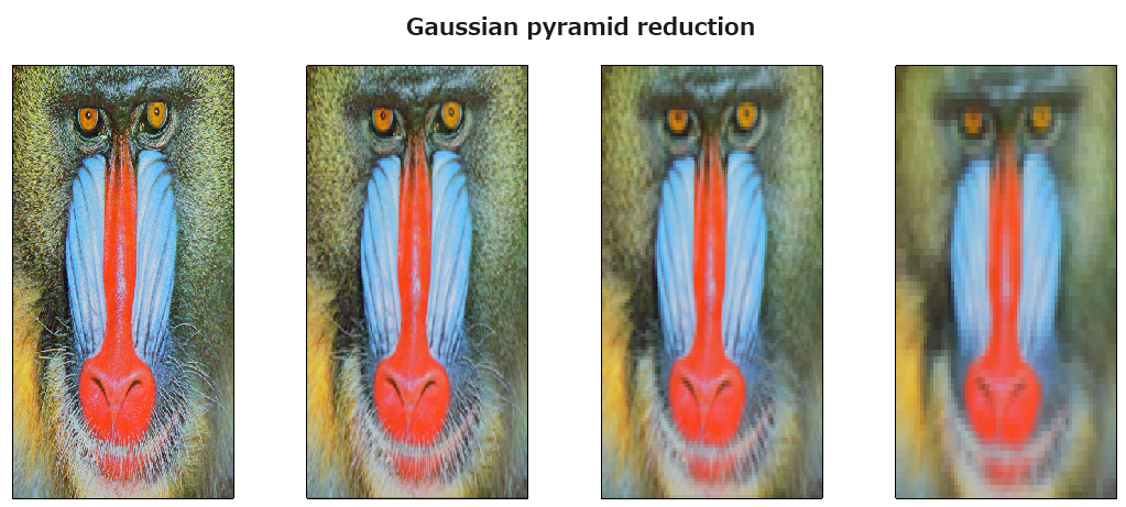 GaussianPyramidReduction